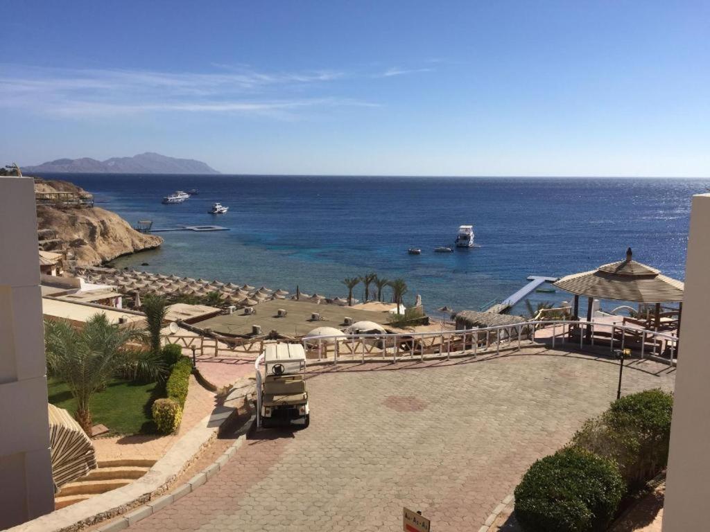 Sharks Bay Oasis Sharm El Sheik