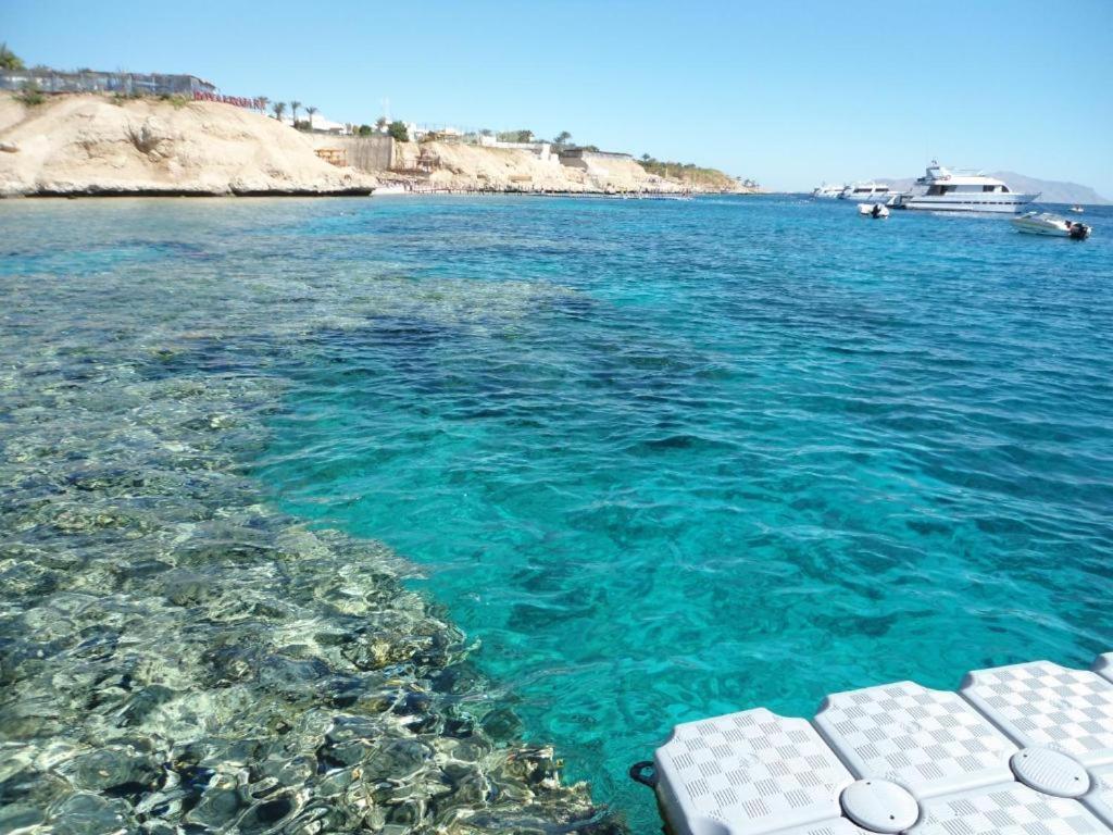 Sharks Bay Oasis Sharm El Sheik Hurghada